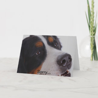 残念、あなたのペットを失った カード