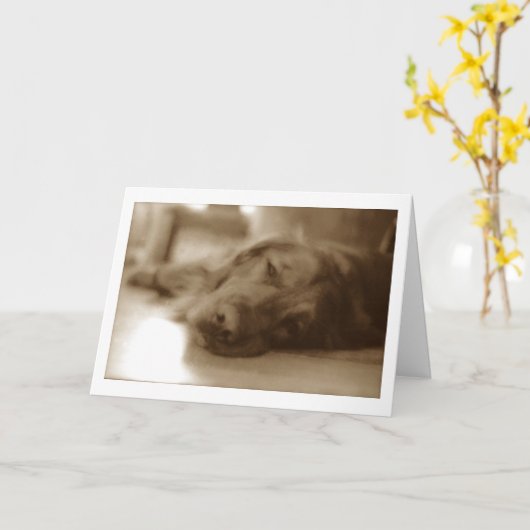 残念 カード (黄色い花)