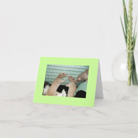 残念 カード (正面)