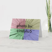 残念 カード (裏面)