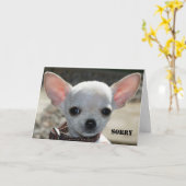 残念 カード (黄色い花)