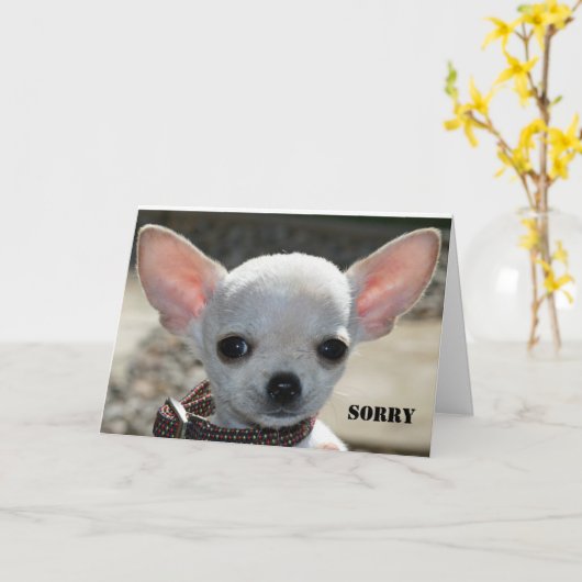 残念 カード (黄色い花)