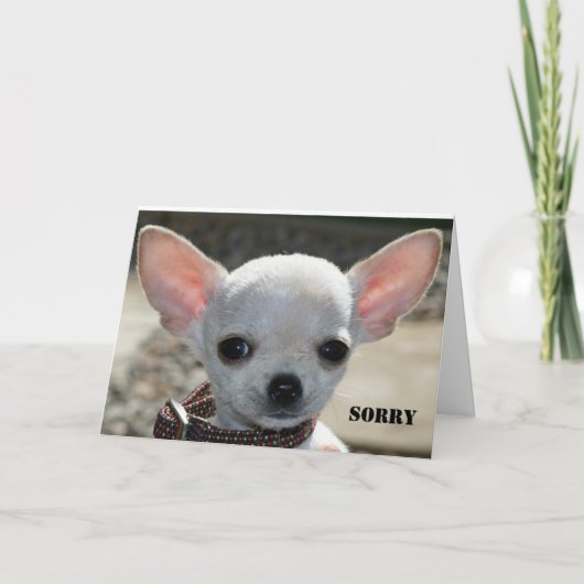 残念 カード (正面)