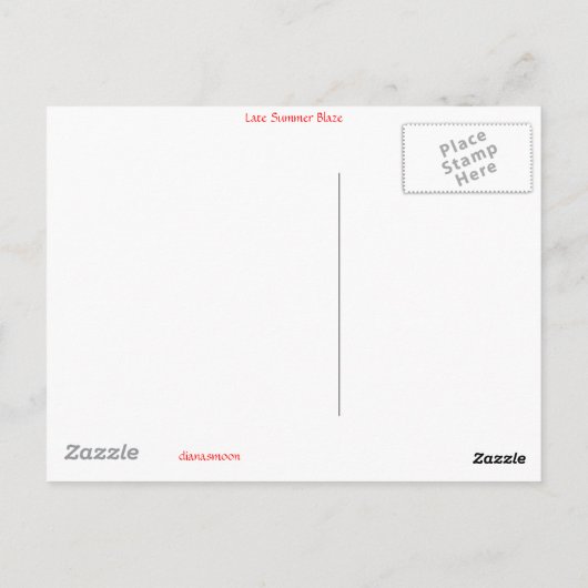 残暑 ポストカード (裏面)