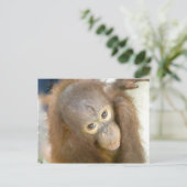 残酷さにノーと言う ポストカード (スタンド正面)