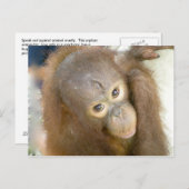 残酷さにノーと言う ポストカード (正面/裏面)