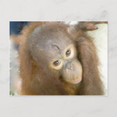 残酷さにノーと言う ポストカード (正面)