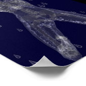 残酷な意図 ポスター (角)