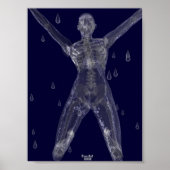 残酷な意図 ポスター (正面)