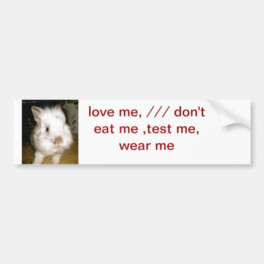 残酷は放します バンパーステッカー (正面)