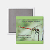 残高と自然 マグネット (正面/裏面)