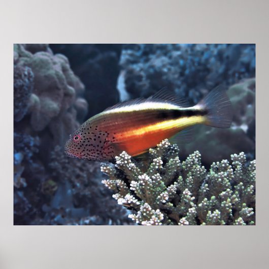 残高 ポスター (正面)