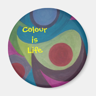 残高 マグネット