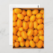 段ボール箱に入れたオレンジのクムカートの山 ポストカード (正面/裏面)