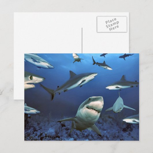 殺しを巡る ポストカード (正面/裏面)