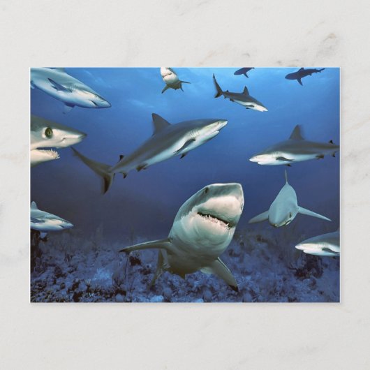 殺しを巡る ポストカード (正面)