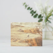 殺し屋 ポストカード (スタンド正面)