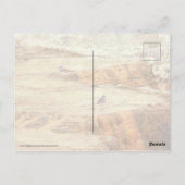 殺し屋 ポストカード (裏面)