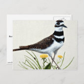 殺し屋 ポストカード (正面/裏面)