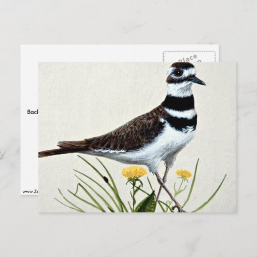 殺し屋 ポストカード (正面/裏面)