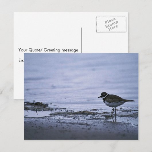 殺し屋 ポストカード (正面/裏面)