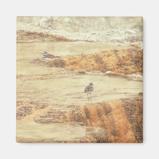 殺し屋 マグネット (正面)