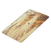 殺し屋 マグネット (左側)