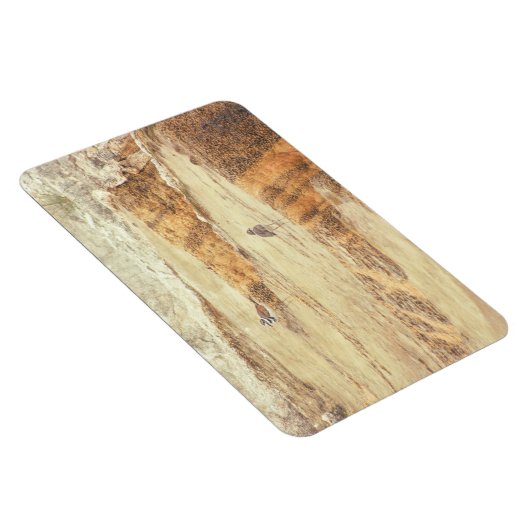 殺し屋 マグネット (右側)