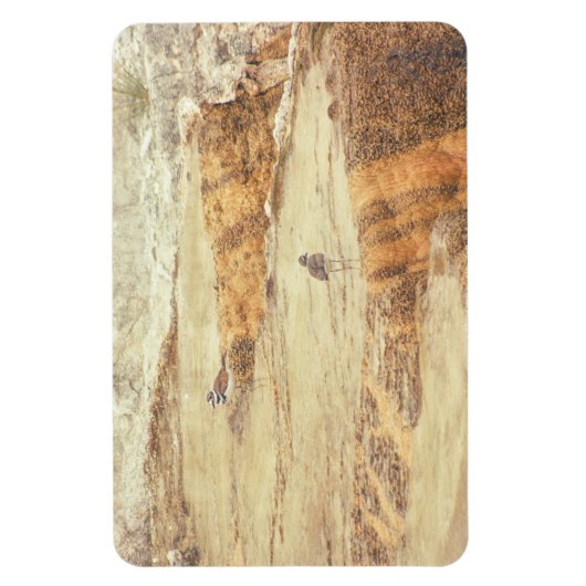 殺し屋 マグネット (縦)