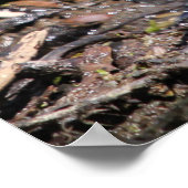 殺し鳥 ポスター (角)