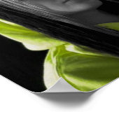 殺す ポスター (角)