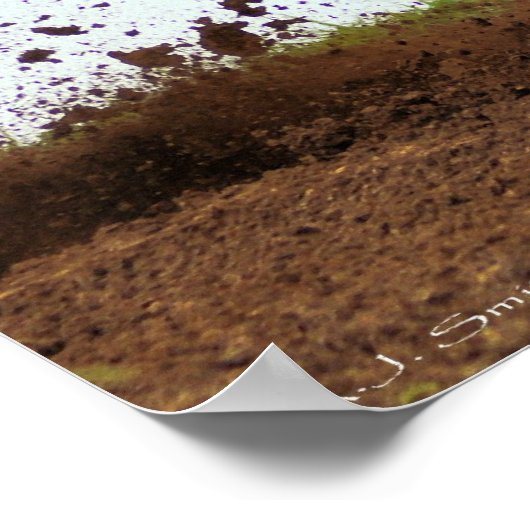 殺人本能 ポスター (角)