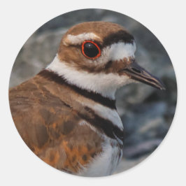 殺人者の接収 ラウンドシール