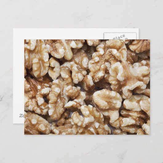 殻をむいたクルミ ポストカード (正面/裏面)