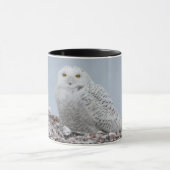 殻付き雪フクロウコ ーヒーマグ マグカップ (中央)