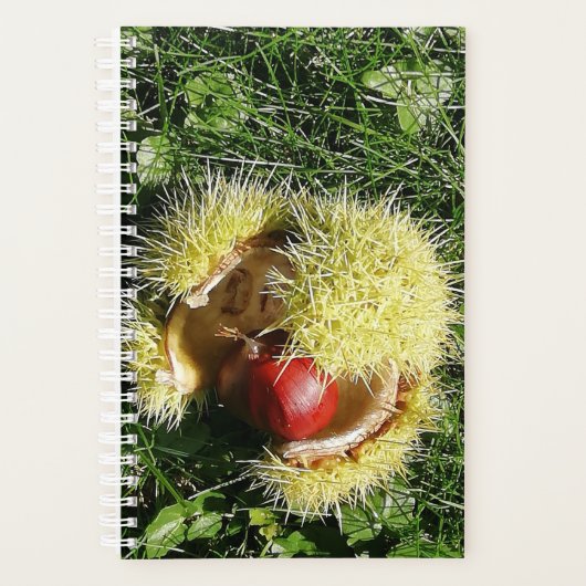 殻落ちたに栗の実。 プランナー手帳 (正面)