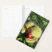 殻落ちたに栗の実。 プランナー手帳 (ディスプレー)