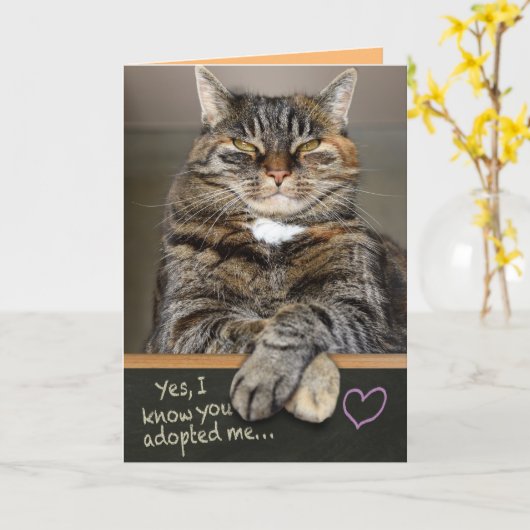 母おもしろいの日の猫から – 私はあなたを所有 カード (黄色い花)