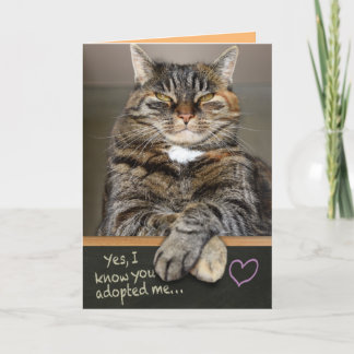 母おもしろいの日の猫から – 私はあなたを所有 カード
