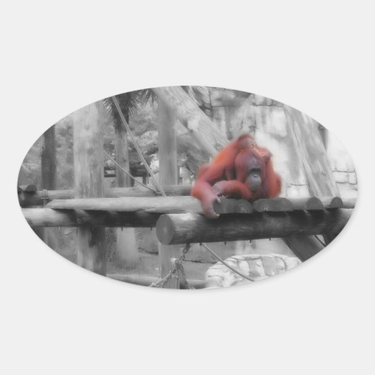 母およびベビーのオランウータン 楕円形シール (正面)