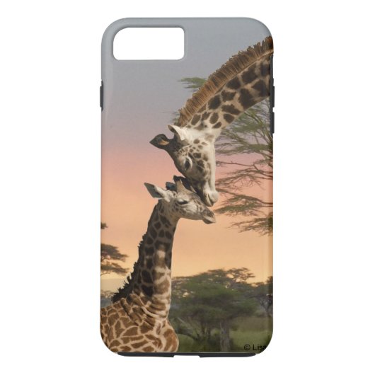 母およびベビーのキリンのiPhone 7のプラスの堅い場合 Case-Mate iPhoneケース (裏面)