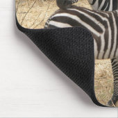 母およびベビーのシマウマのマウスパッド マウスパッド (コーナー)