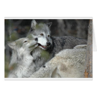 母およびベビー