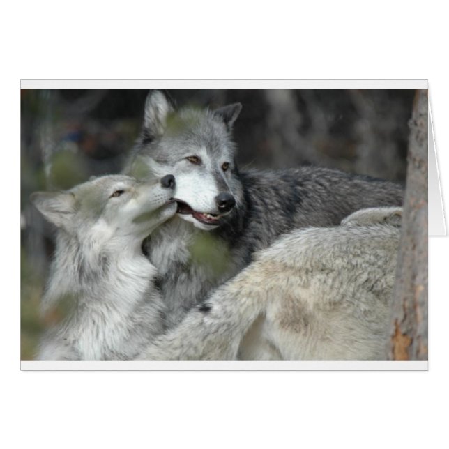 母およびベビー (正面横)