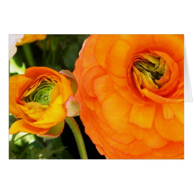 母および子供 (正面横)