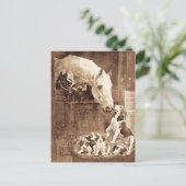 母が挨拶をする ポストカード (スタンド正面)