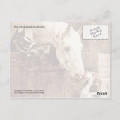 母が挨拶をする ポストカード (裏面)