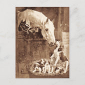 母が挨拶をする ポストカード (正面)