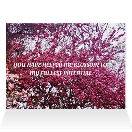 母が母の日カードを育てる (内部横(上))