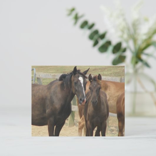 母さん ポストカード (スタンド正面)